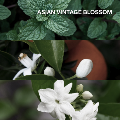 Asian Vintage Blossom