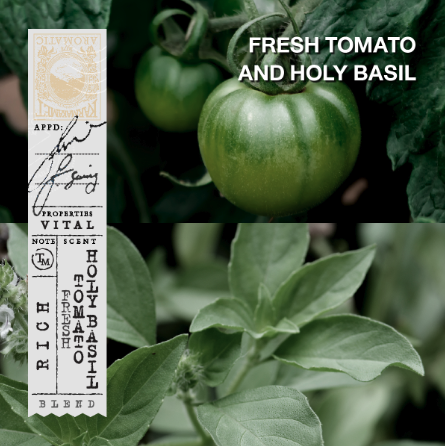 Fresh Tomato Holy Basil