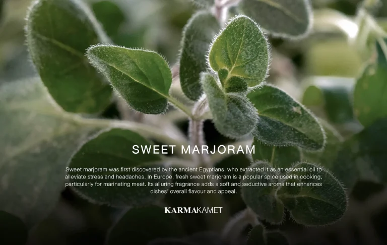 The Secret of Scent : Sweet Marjoram